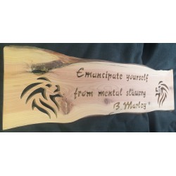 Paroles chanson : "Emancipate yourself..."