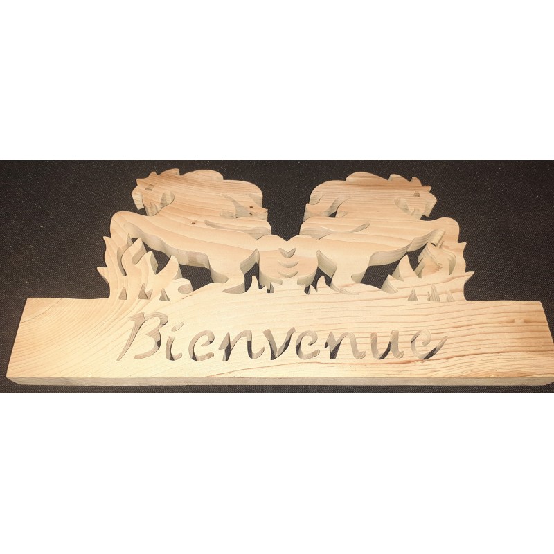 Bienvenue avec deux chevaux