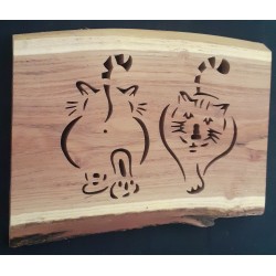 Chat de face, de dos