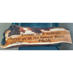 Message Pierre Rabhi