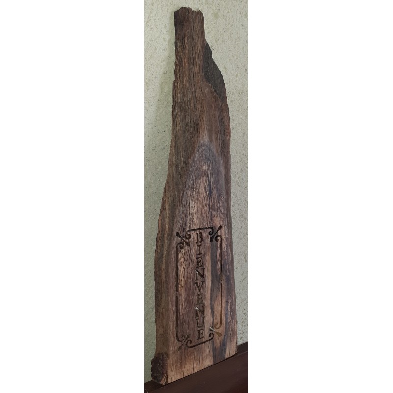 Bienvenue dans Chêne liège échauffé