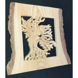 Arbre féminin (Cèdre)