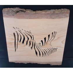 Nudité féminine dans du cèdre