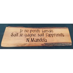 Je ne perds jamais...N.Mandela