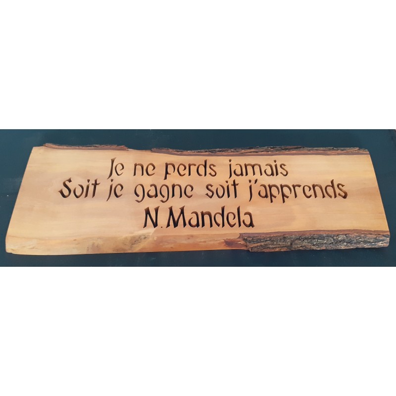 Je ne perds jamais...N.Mandela