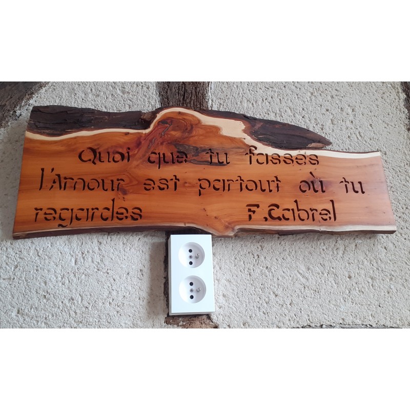 L'Amour est partout (F.Cabrel)