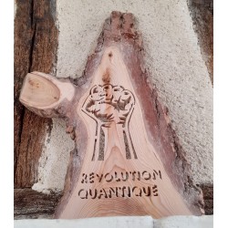 Révolution Quantique