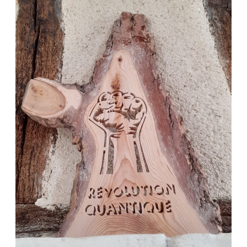 Révolution Quantique